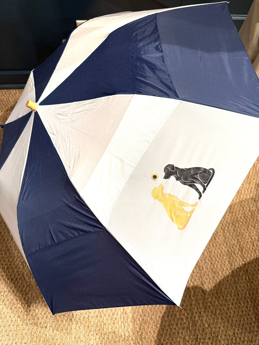 Ted & George Lil' Windy Umbrella
